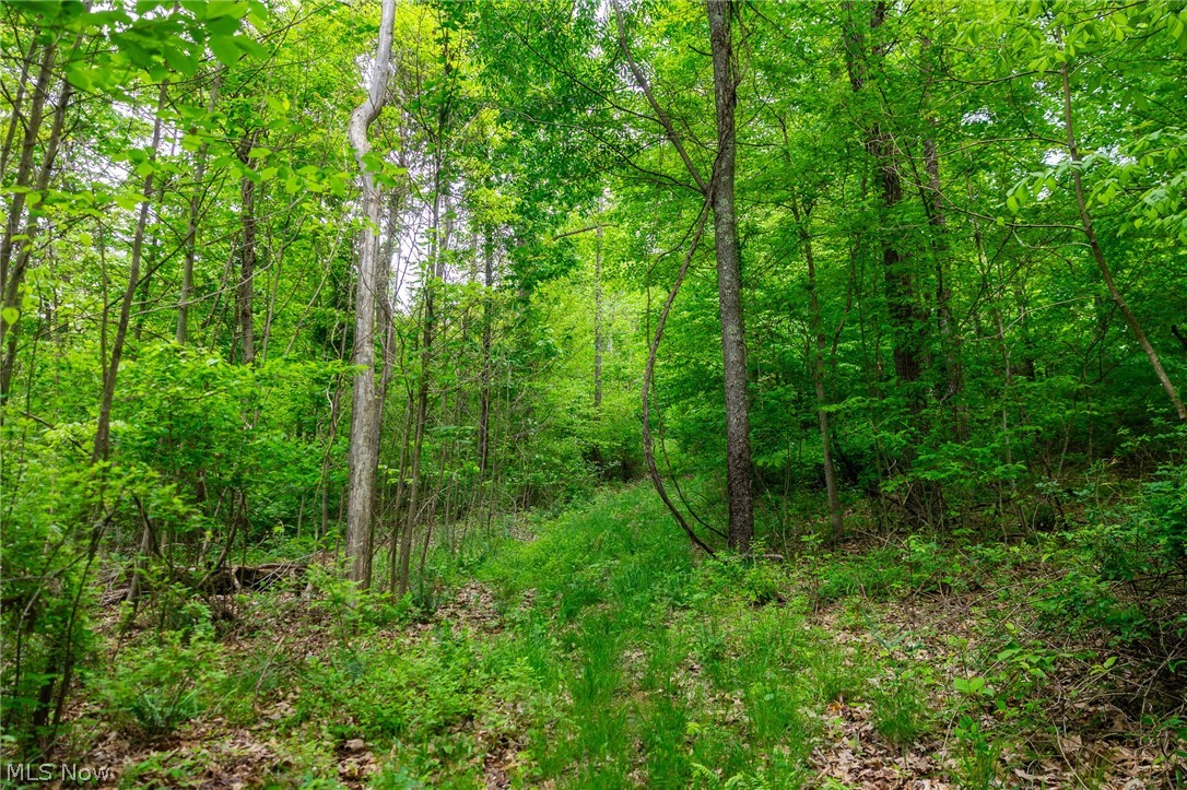 70870 Norwalk Road Kimbolton OH 43749