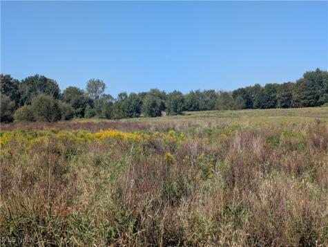 White Pond Drive Copley OH 44313