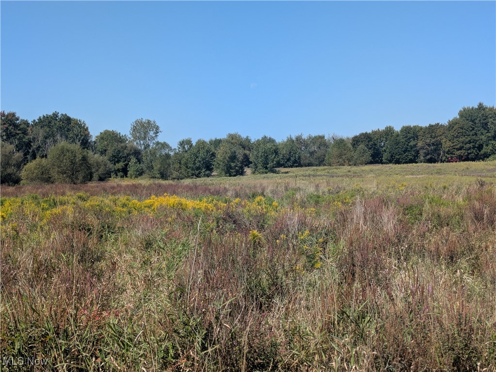 White Pond Drive Copley OH 44313