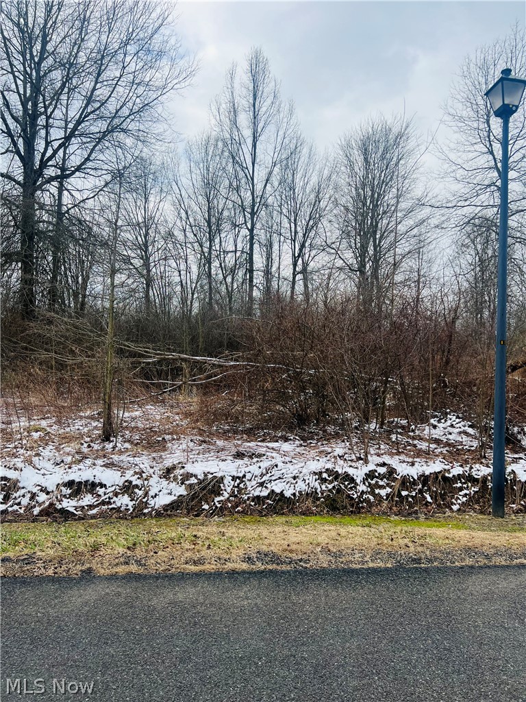 Lot 134 Breezewood Lane Orwell OH 44076
