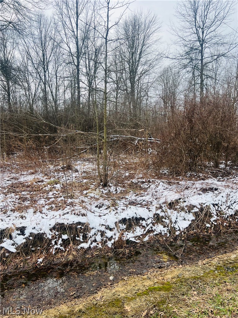 Lot 134 Breezewood Lane Orwell OH 44076