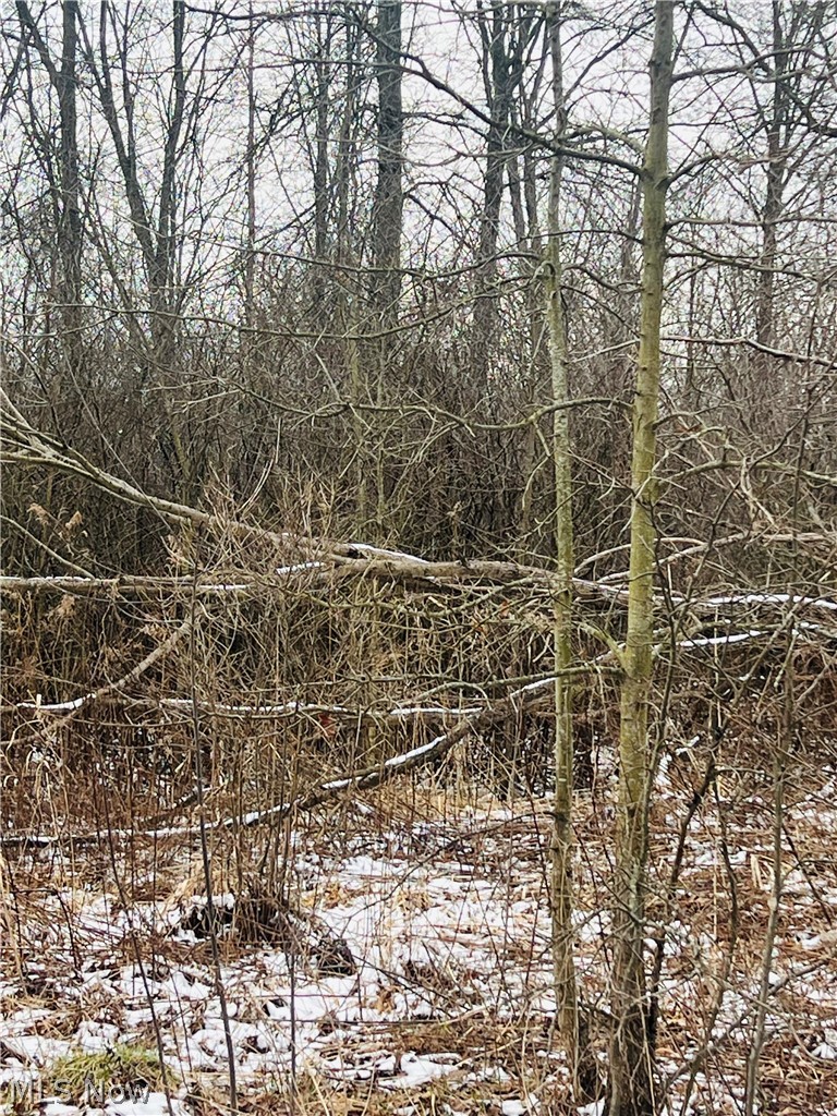 Lot 134 Breezewood Lane Orwell OH 44076