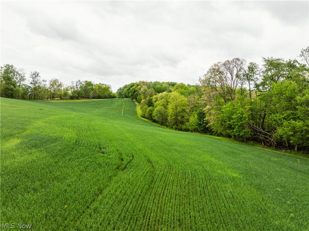 Trail 240 Fresno OH 43824