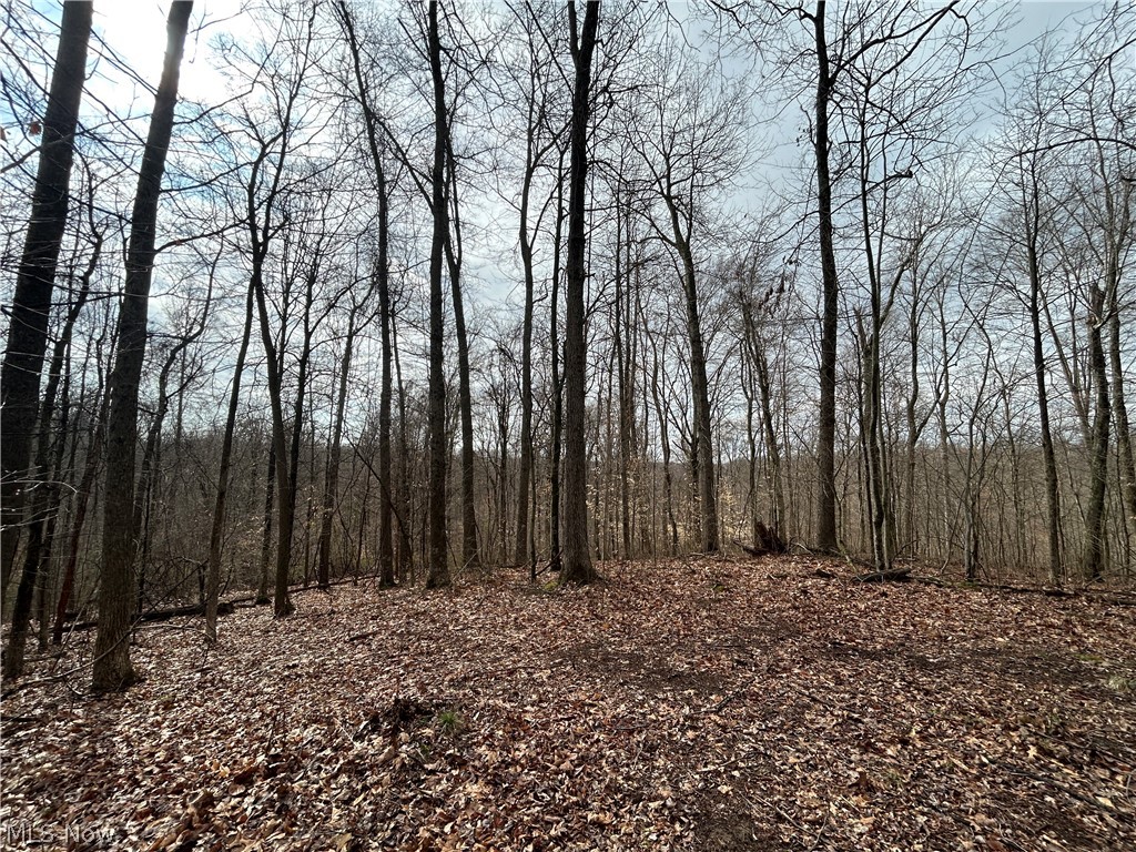 Wilbur Bush Road Crooksville OH 44606