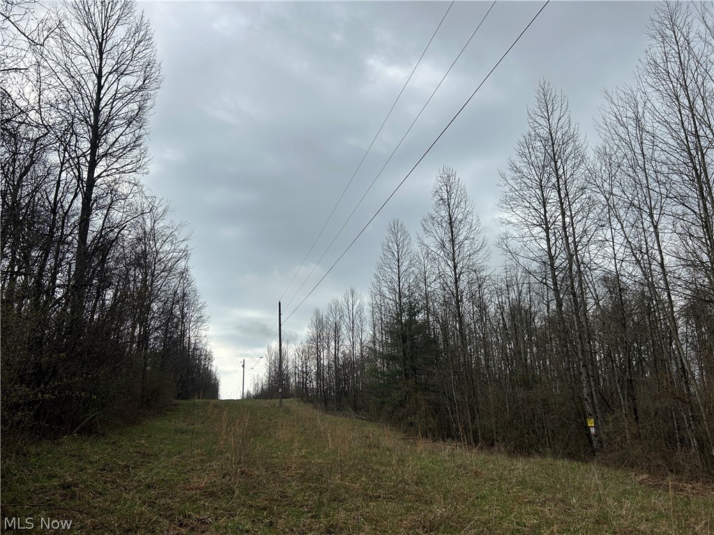 Wilbur Bush Road Crooksville OH 44606