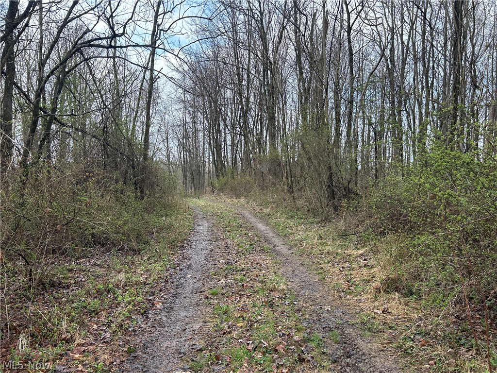 Wilbur Bush Road Crooksville OH 44606