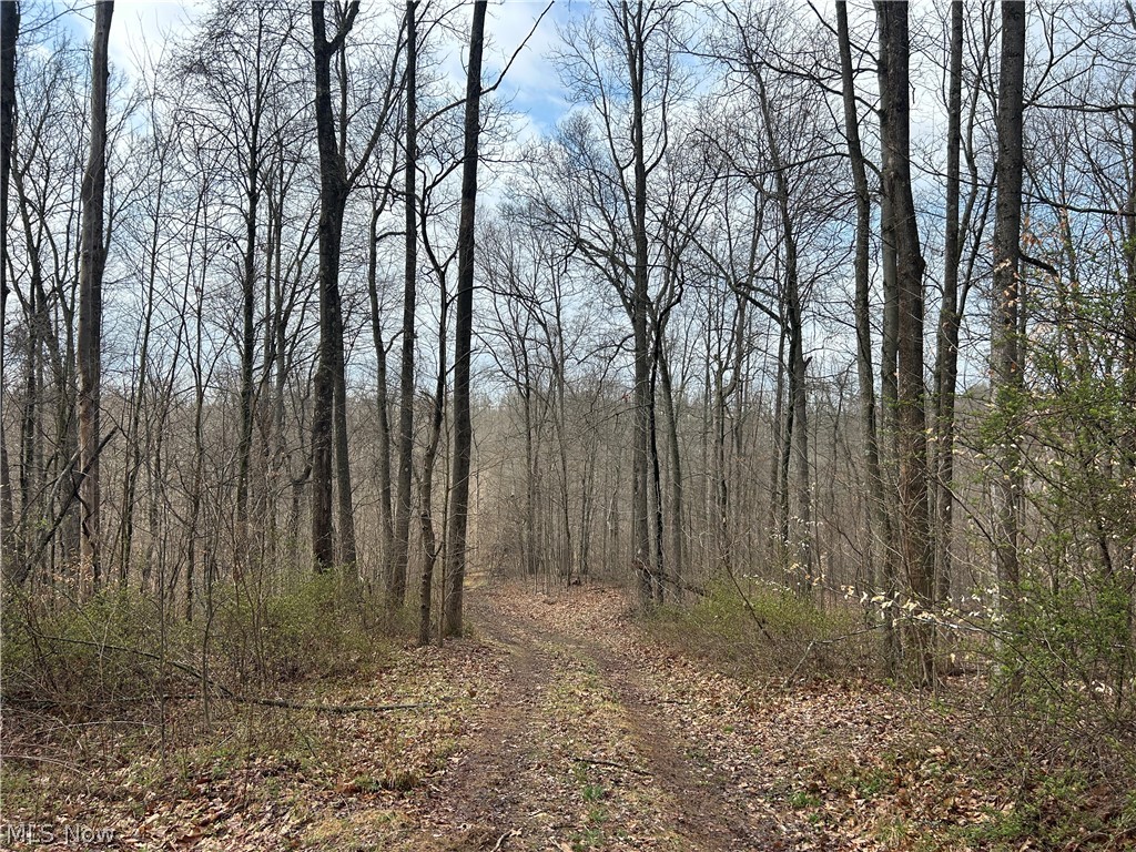 Wilbur Bush Road Crooksville OH 44606