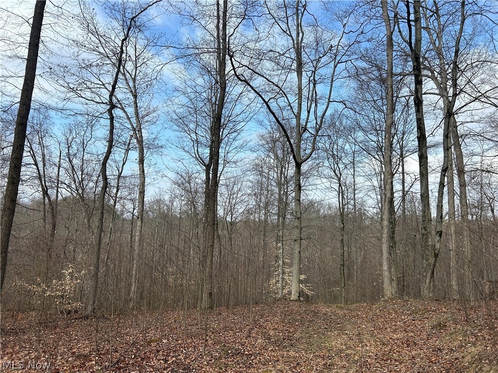 Wilbur Bush Road Crooksville OH 44606