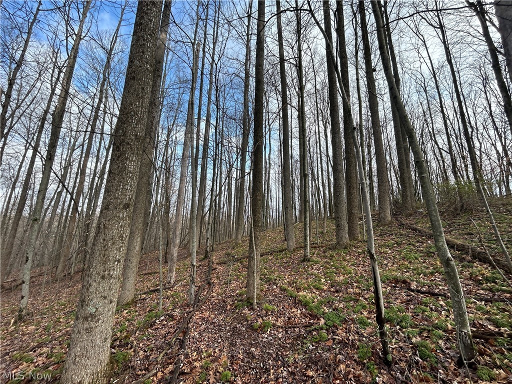 Wilbur Bush Road Crooksville OH 44606