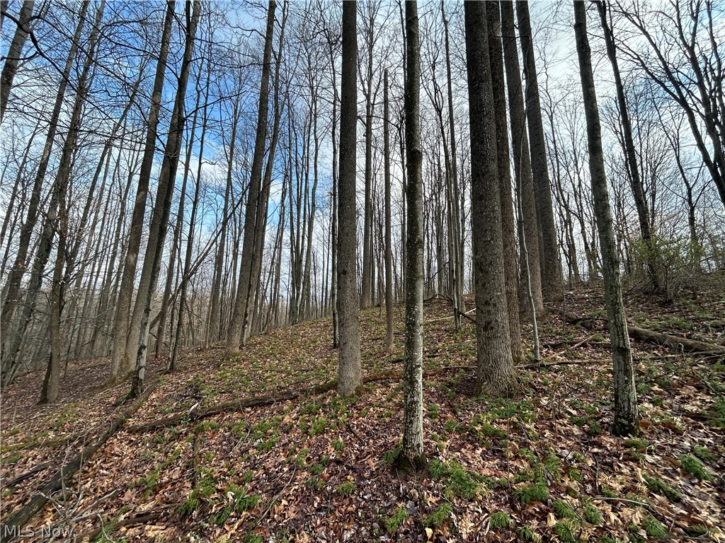 Wilbur Bush Road Crooksville OH 44606
