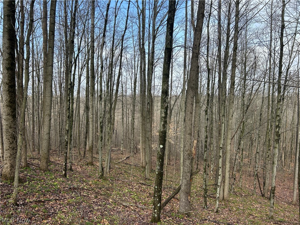 Wilbur Bush Road Crooksville OH 44606