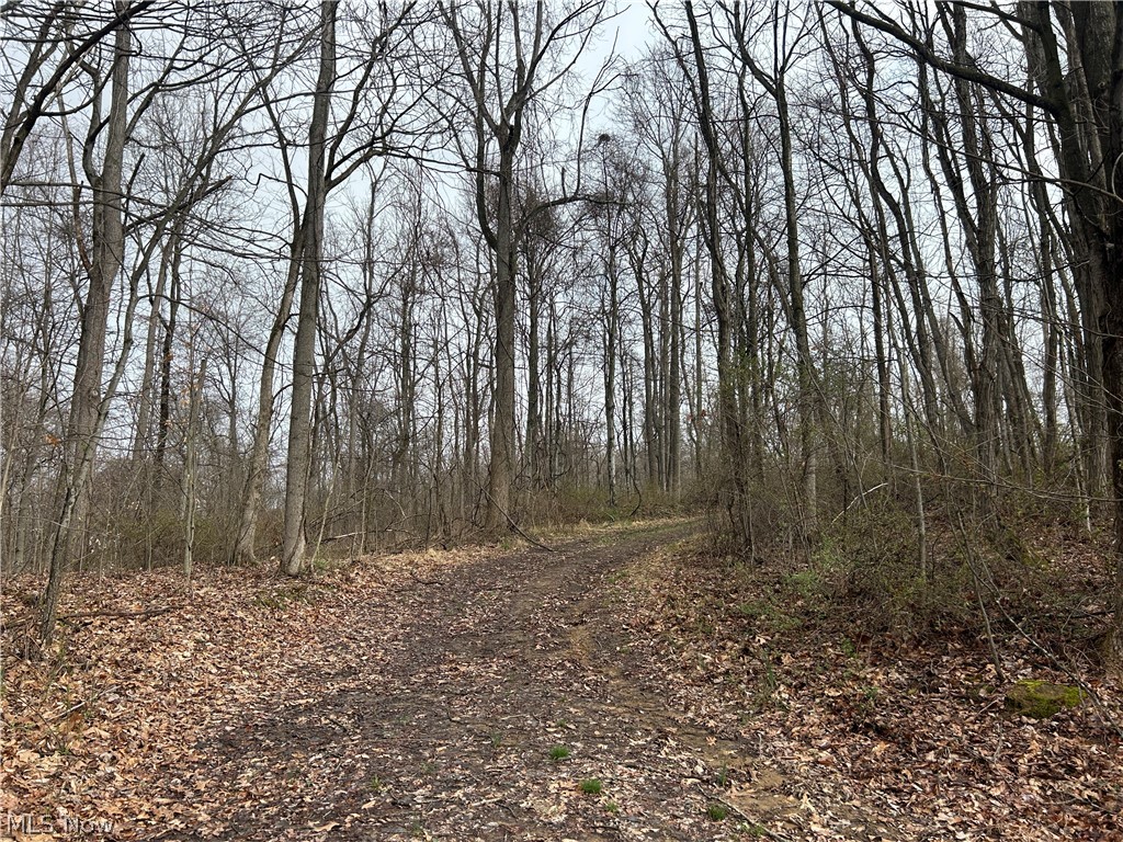 Wilbur Bush Road Crooksville OH 44606