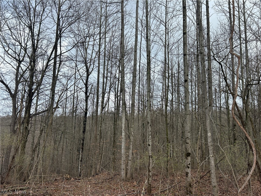 Wilbur Bush Road Crooksville OH 44606