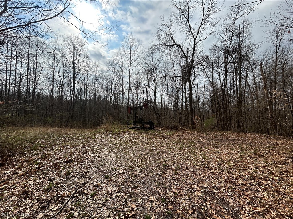 Wilbur Bush Road Crooksville OH 44606
