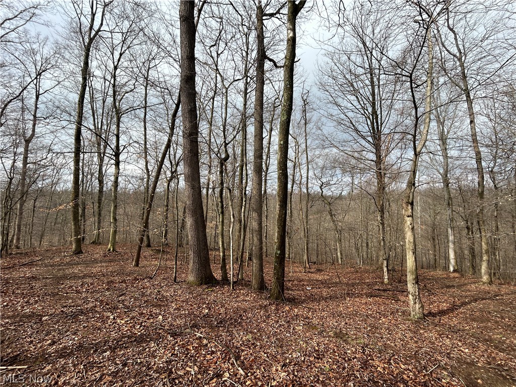 Wilbur Bush Road Crooksville OH 44606
