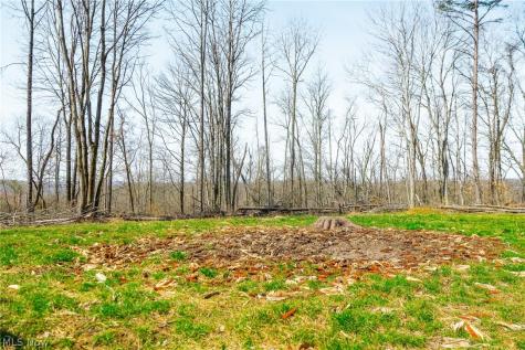 East Branch Road Lowell OH 45744