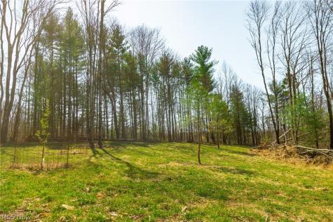 East Branch Road Lowell OH 45744