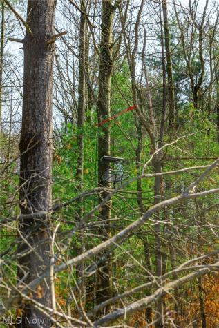 East Branch Road Lowell OH 45744