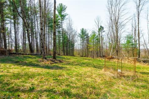 East Branch Road Lowell OH 45744