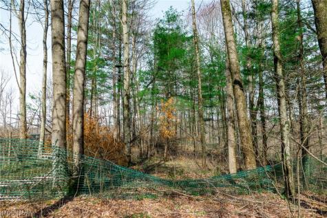 East Branch Road Lowell OH 45744