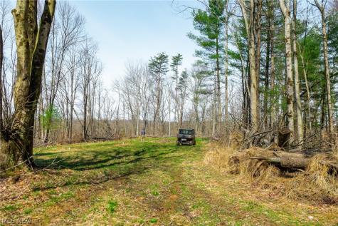 East Branch Road Lowell OH 45744