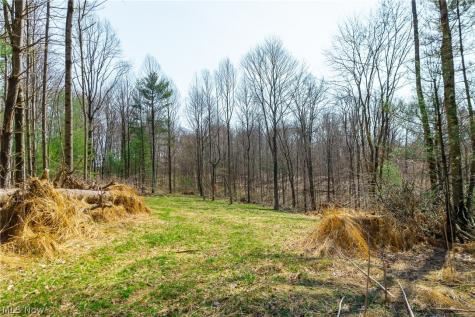East Branch Road Lowell OH 45744