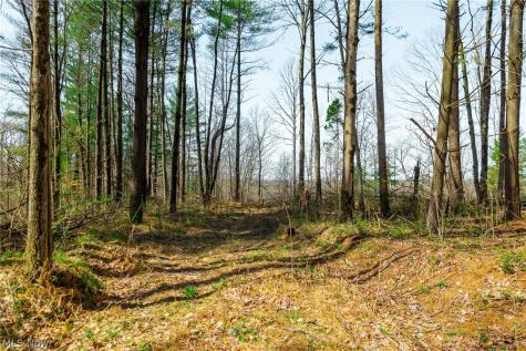 East Branch Road Lowell OH 45744