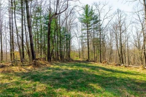 East Branch Road Lowell OH 45744