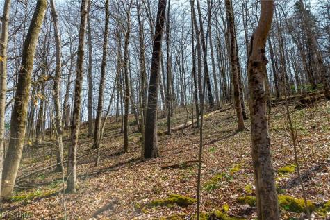 East Branch Road Lowell OH 45744