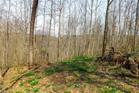 East Branch Road Lowell OH 45744