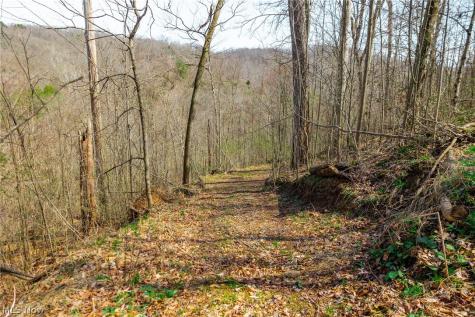 East Branch Road Lowell OH 45744