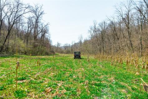 East Branch Road Lowell OH 45744