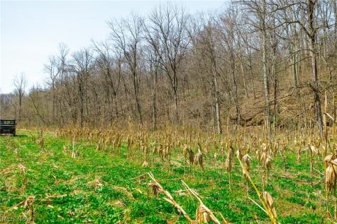 East Branch Road Lowell OH 45744