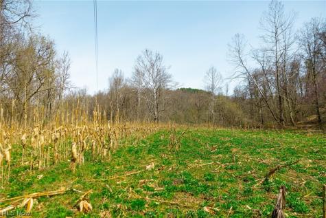 East Branch Road Lowell OH 45744