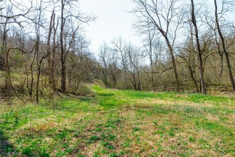 East Branch Road Lowell OH 45744