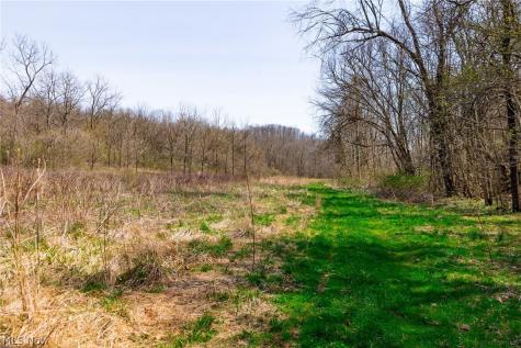 East Branch Road Lowell OH 45744