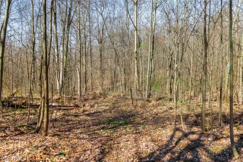 East Branch Road Lowell OH 45744