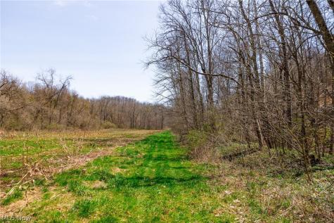 East Branch Road Lowell OH 45744
