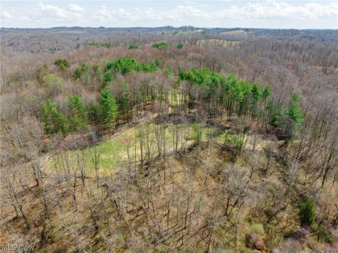 East Branch Road Lowell OH 45744