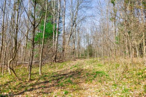 East Branch Road Lowell OH 45744