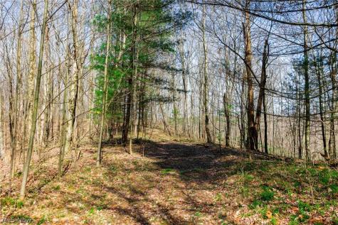 East Branch Road Lowell OH 45744