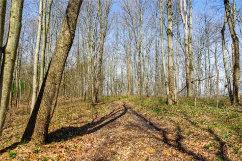 East Branch Road Lowell OH 45744
