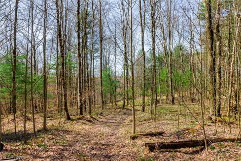 East Branch Road Lowell OH 45744