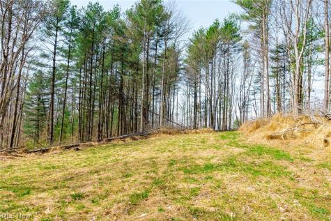 East Branch Road Lowell OH 45744