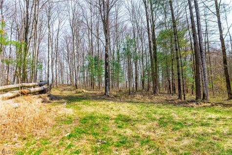 East Branch Road Lowell OH 45744