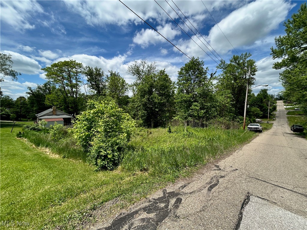 Tbd Ellsworth Road Wintersville OH 43952