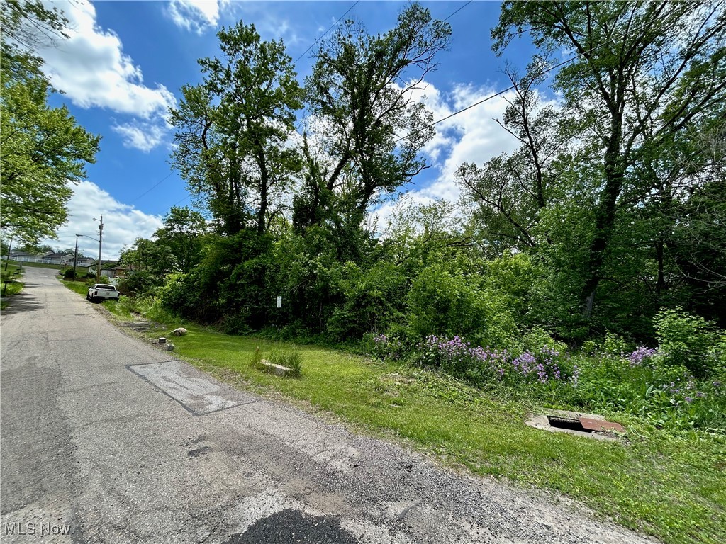 Tbd Ellsworth Road Wintersville OH 43952
