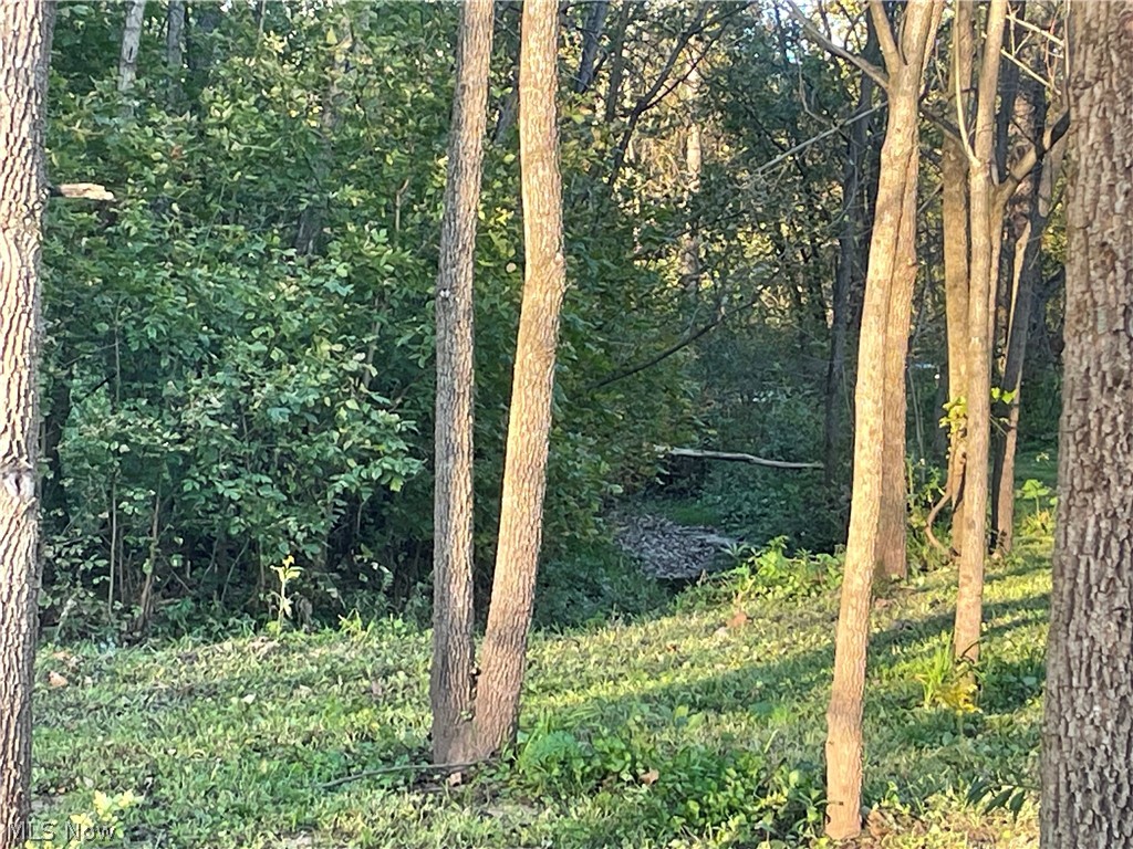 Dudley Road Caldwell OH 43724