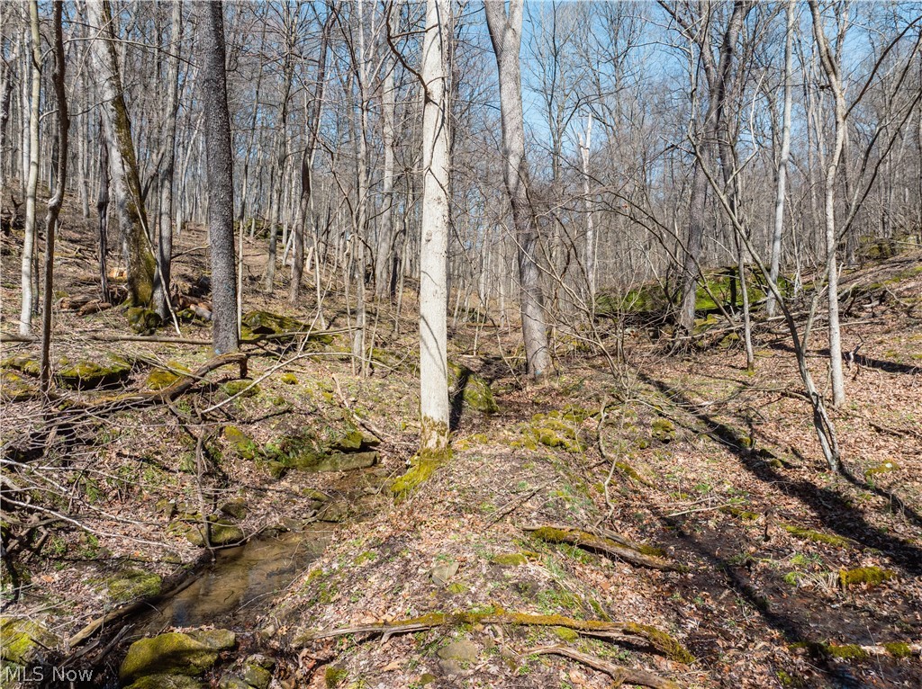 2255 Township Road 34 Killbuck OH 44637