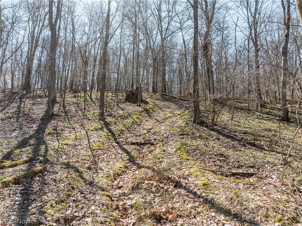 2255 Township Road 34 Killbuck OH 44637